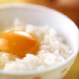 ���������͂�